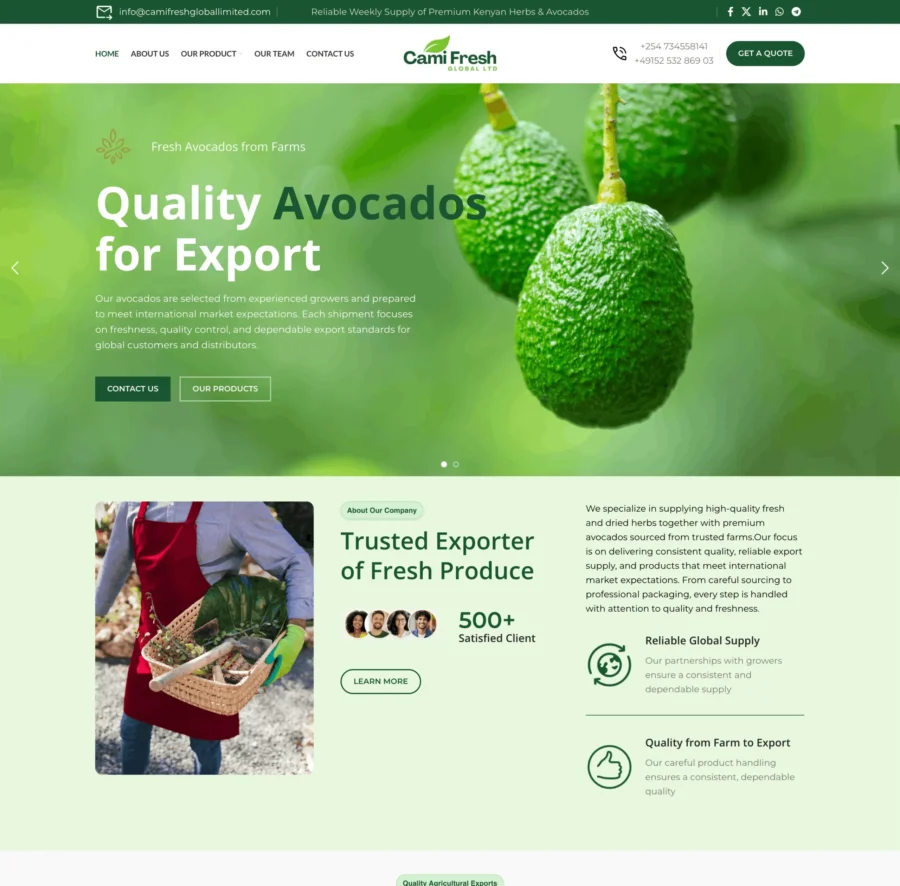 Fresh produce export company website design for Cami Fresh Global Ltd by Web Designers Africa