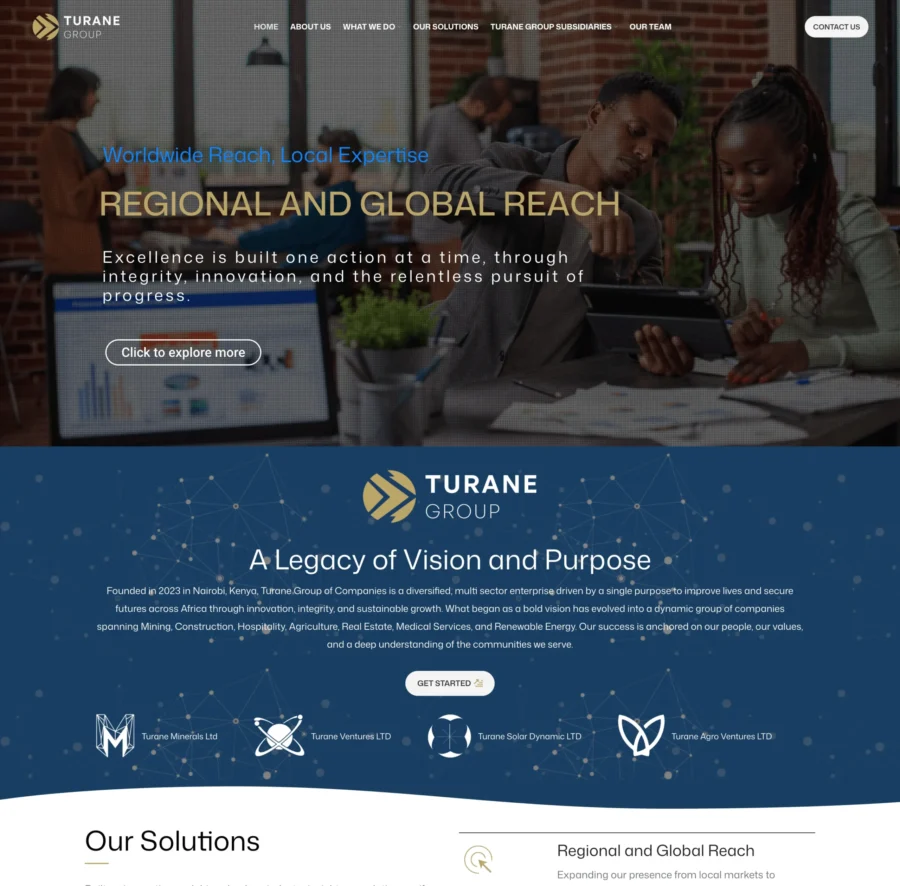 Corporate group website design for Turane Group of Companies by Web Designers Africa